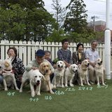 2012.10.14.生れ エマの仔犬たちの集い at ピノッキオ