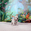 コトリの子(父犬:ナイト) 2025年8月23日生れⅡ 9月19日撮影